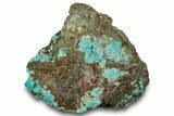 Tumbled Turquoise Specimen - Number Mine, Carlin, NV #260508-1